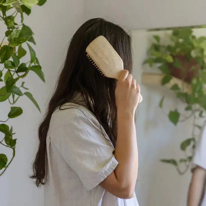 Brosse a cheveux