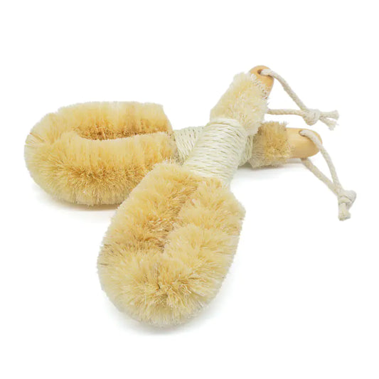 Brosse exfoliante corps
