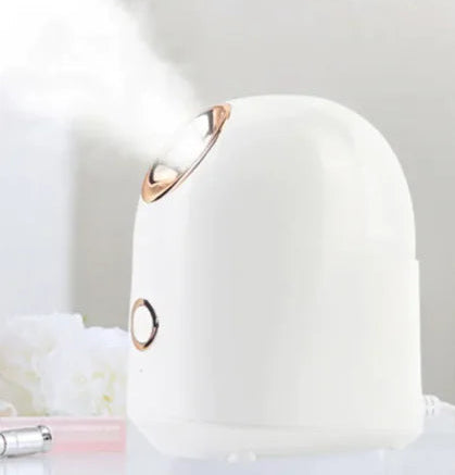 Appareil à vapeur soin du visage